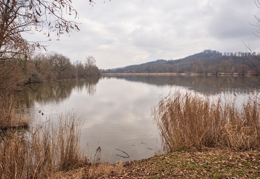 20220123160550-6314a38c